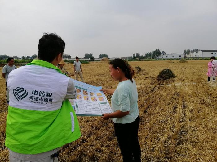 中储粮漯河直属库召陵分库携手青穗信息科技开展'三夏助农'服务纪实